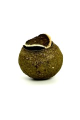 Пуер в мандарині 'Зелена марка' (200 г) — ароматний Шу Пуер.