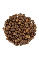 Марагоджип Сальвадор