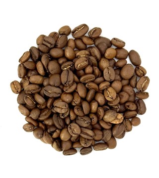 Марагоджип Сальвадор