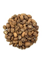 Марагоджип Гватемала