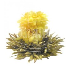 Срібна хризантема